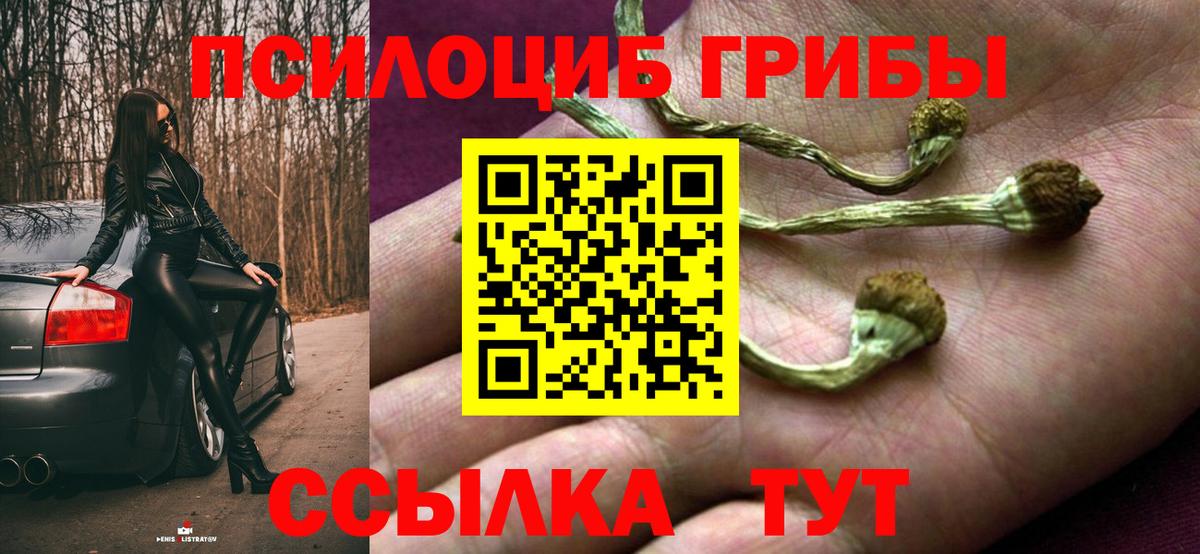 Галлюциногенные грибы мицелий Октябрьский