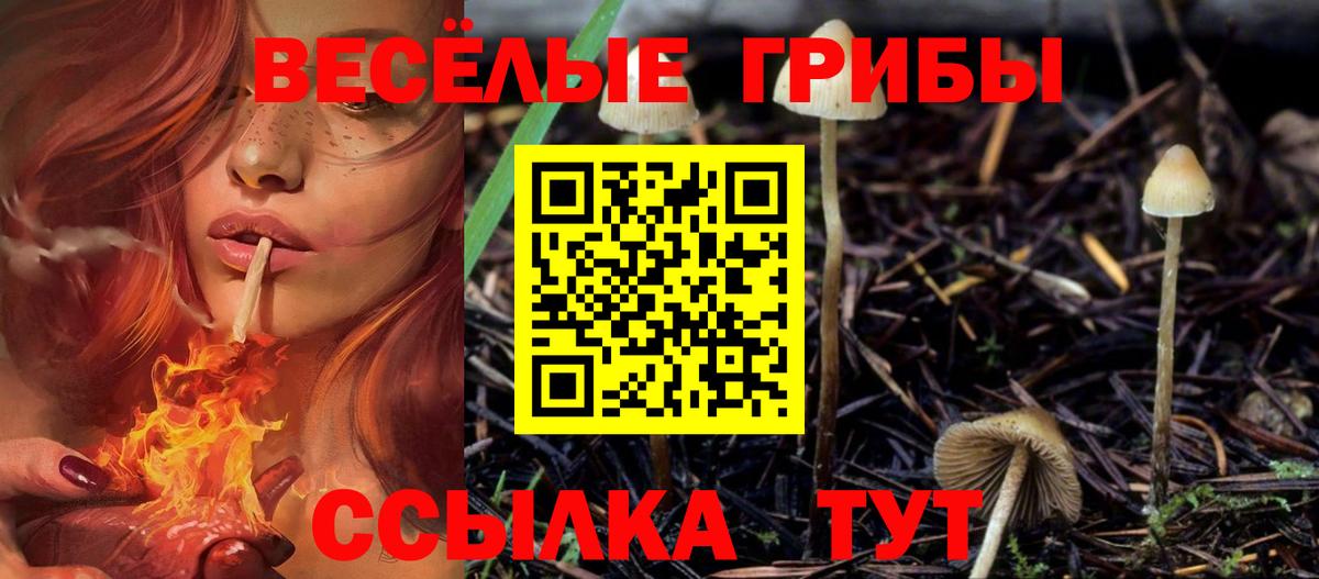 Галлюциногенные грибы Psilocybe  Галлюциногенные грибы Psilocybe  Октябрьский  Вход с VPN 